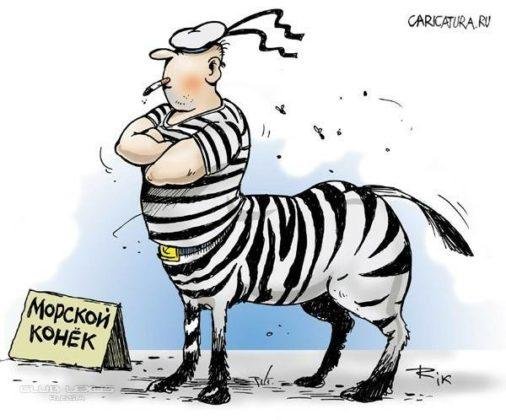 смешная зебра