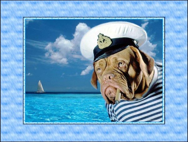 морская форма