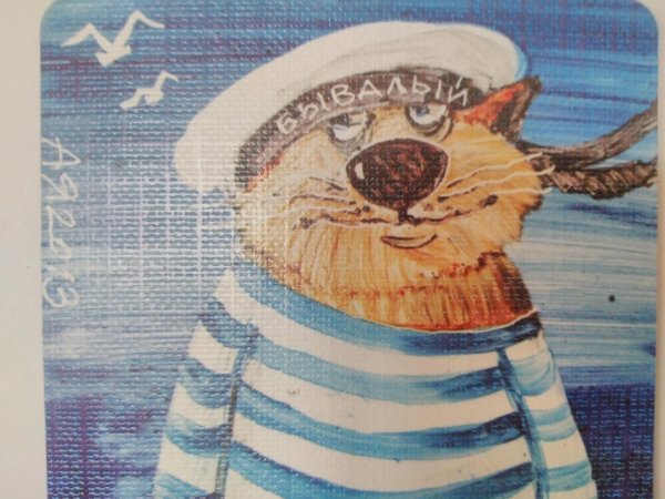 анатолий ярышкин коты