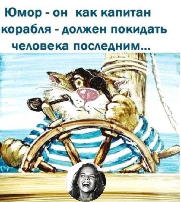 коты художника анатолия ярышкина