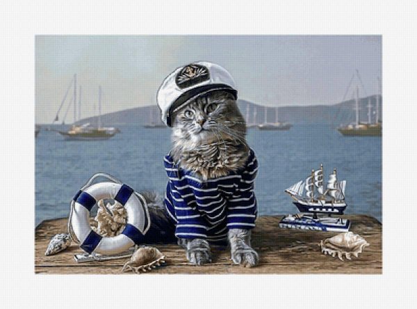кот матрос