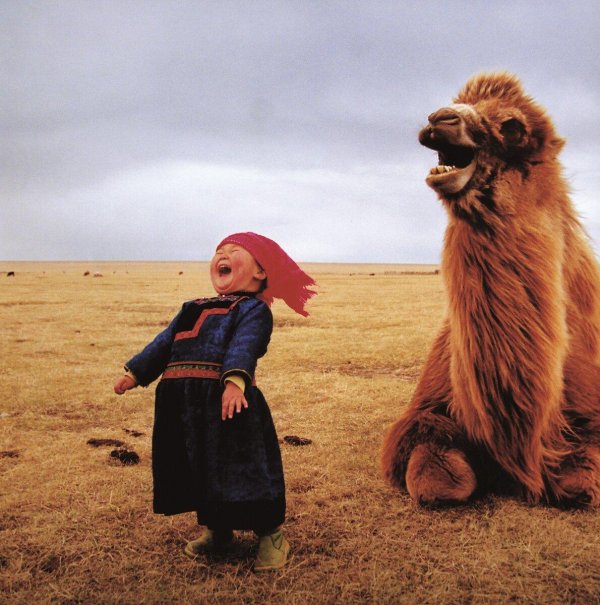 ржали всей монголией