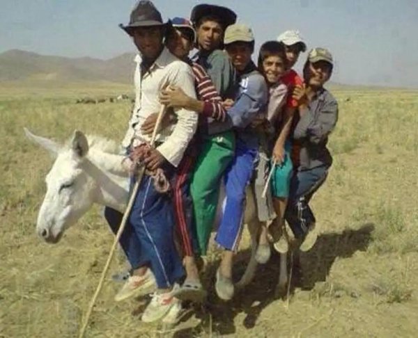 ишак арба афганистан