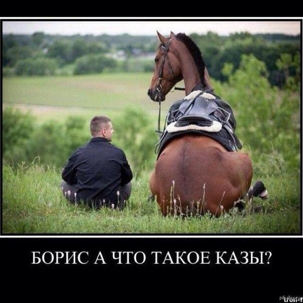 лошадь седло