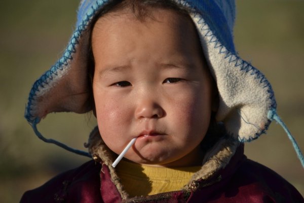 буряты монголоиды