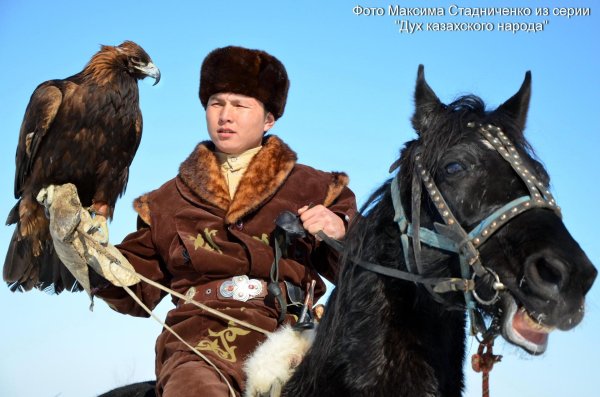 беркутчи монголия