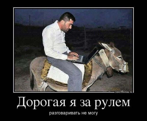 осел демотиваторы