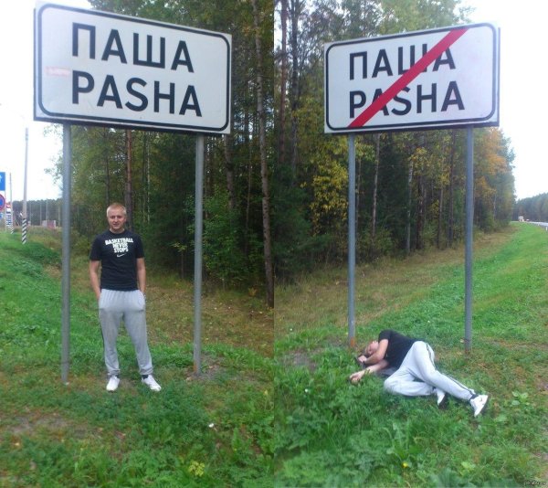 четкие приколы