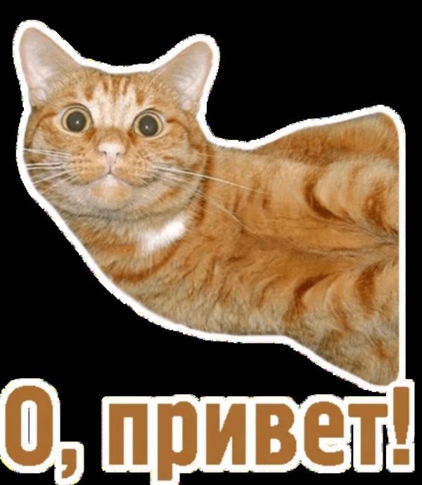 стикер приветствие