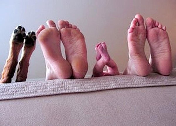 ступни веселые