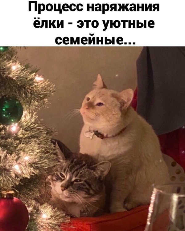 мем про новый год