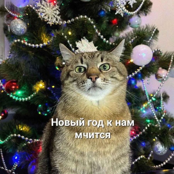 новогоднего настроения
