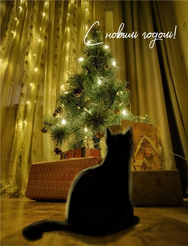 с нового года