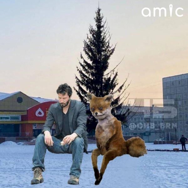 упоротая лиса