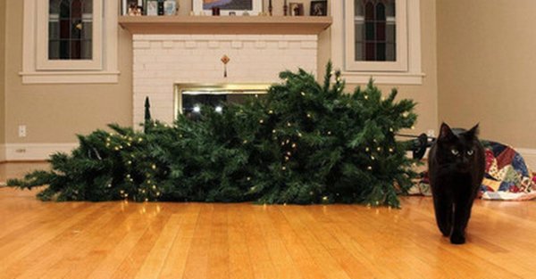 кошка уронила елку