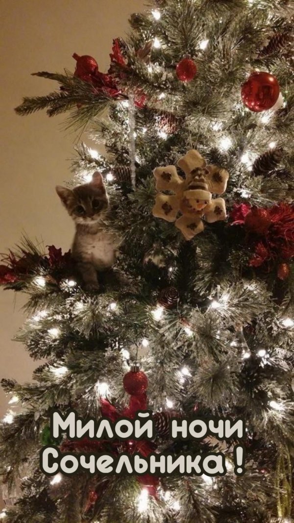 новогоднего настроения
