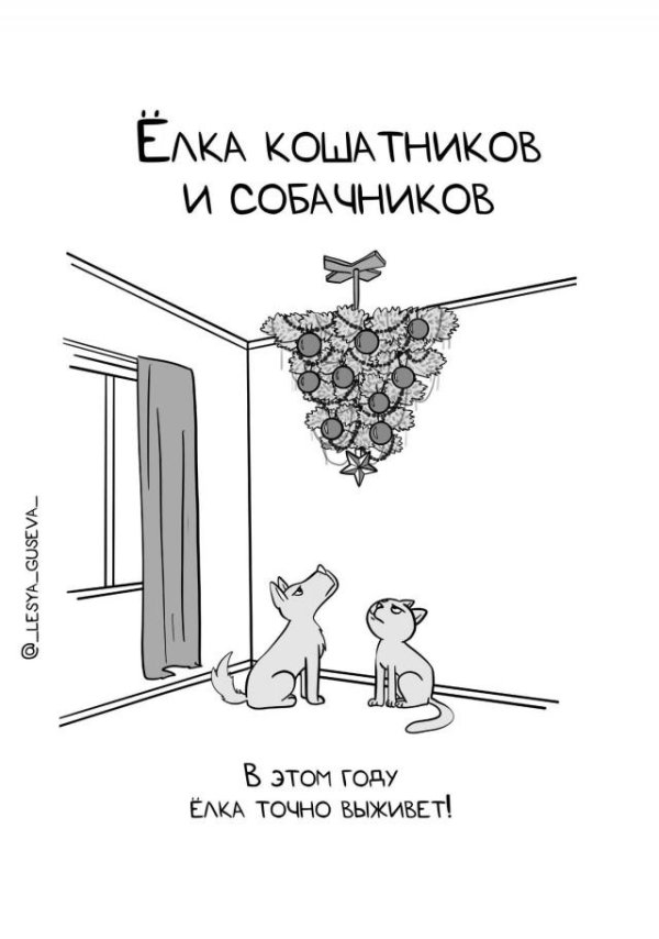 открытка с юмором