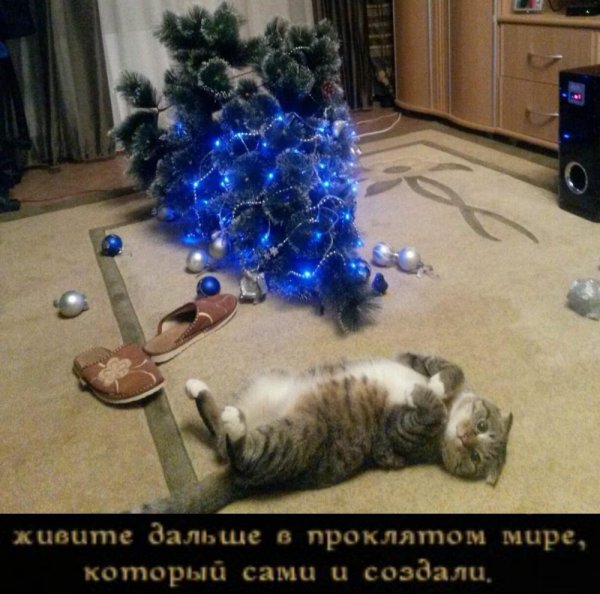 юмор приколы