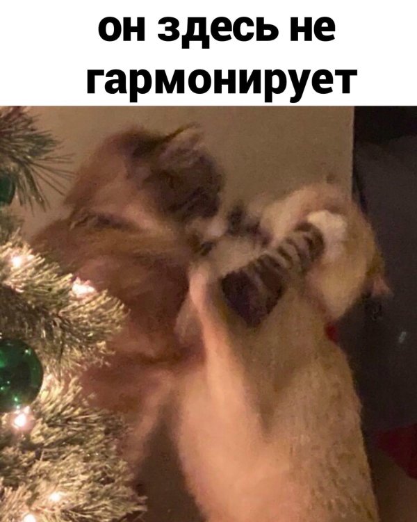 ох уж эти