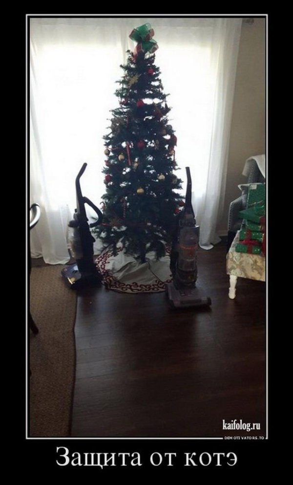 защита елки от котов