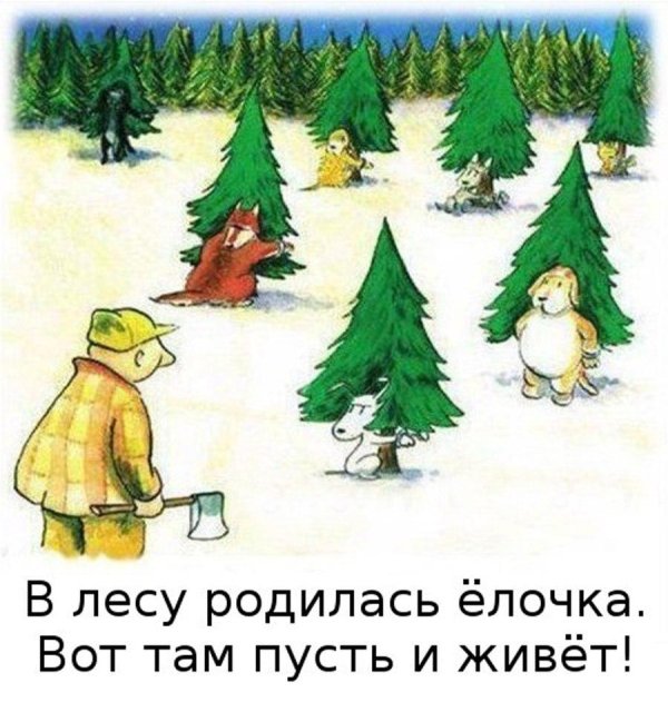 в лесу родилась ёлочка приколы