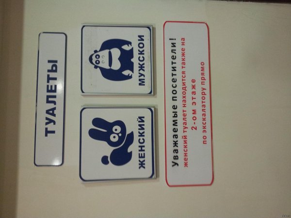 надписи для туалета