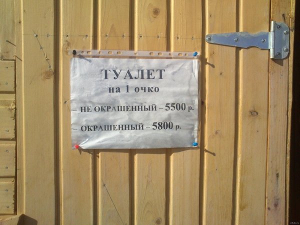 смешные надписи в туалете