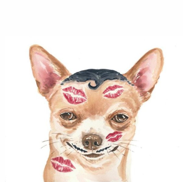 чихуахуа арт