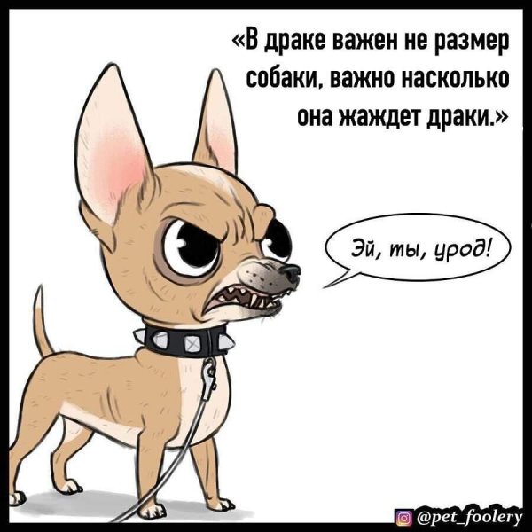 пикси и брут
