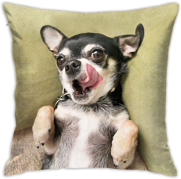 подушка чихуахуа