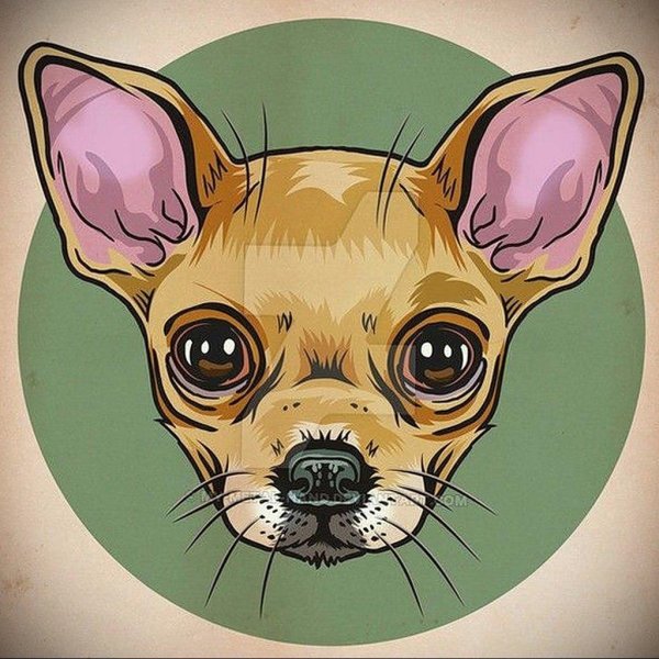 той терьер рисунок