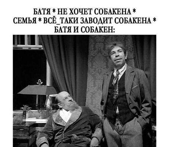 батя не хочет собаку семья заводит