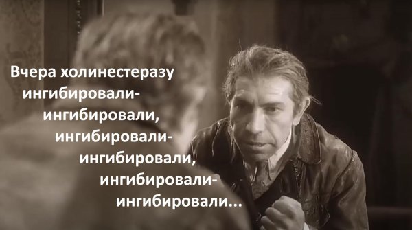 шариков полиграф полиграфович