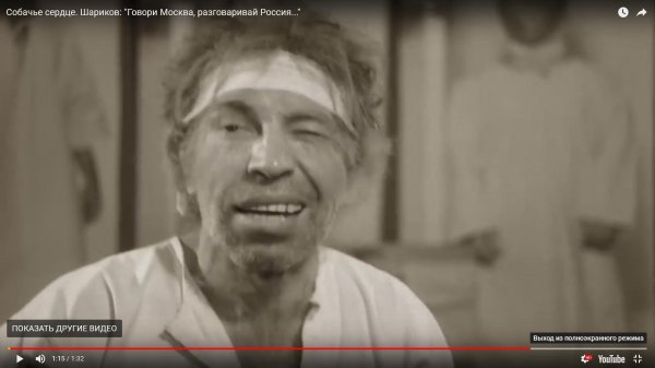 шариков собачье сердце