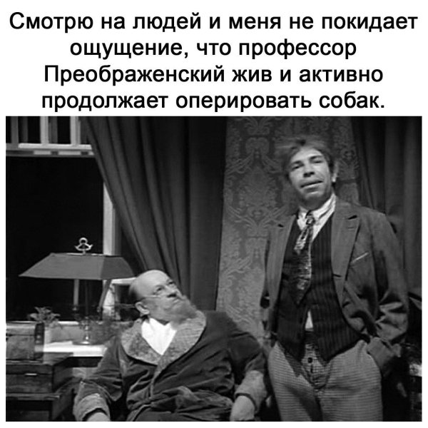 профессор преображенский продолжает оперировать собак