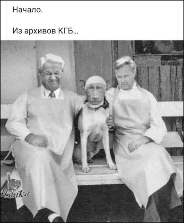 собачье сердце булгаков