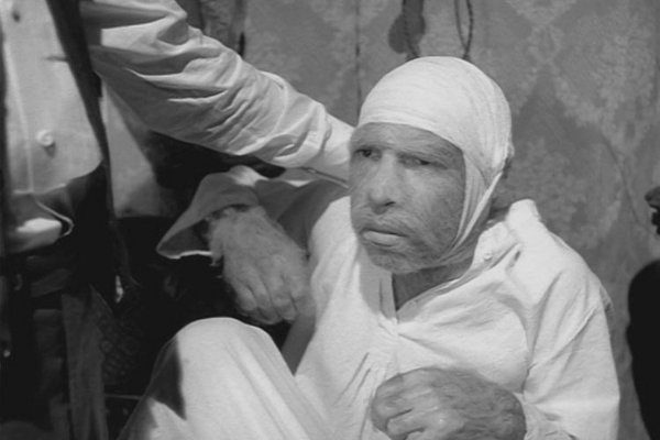 шариков полиграф полиграфович