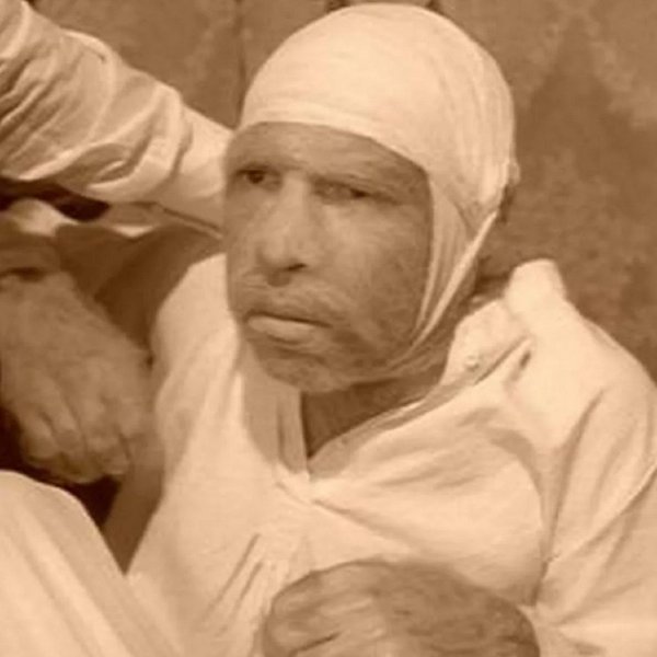 шариков после операции