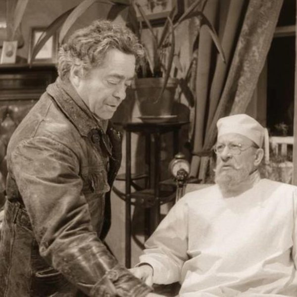 собачье сердце швондер