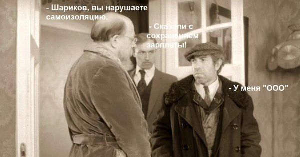 шариков из собачьего сердца