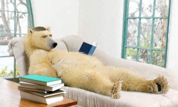 белая медведь