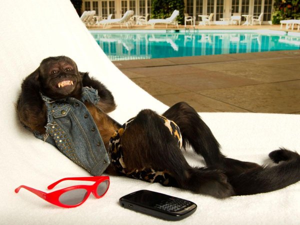 Лежу отдыхаю