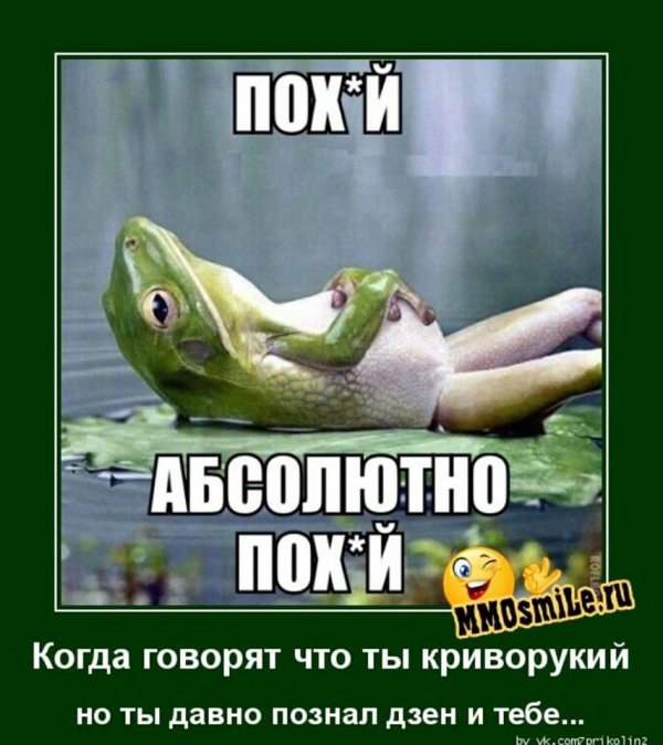 лягушка прикольная