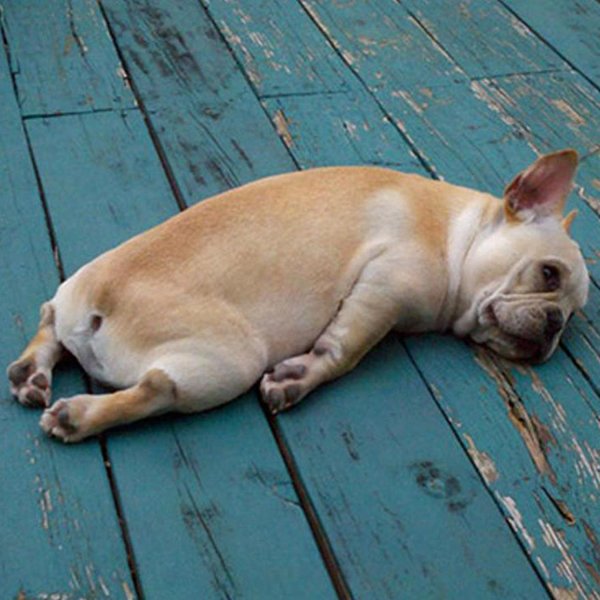 скоро отпуск