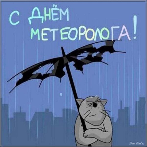 с днем метеоролога