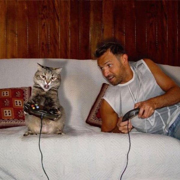 парень с кошкой