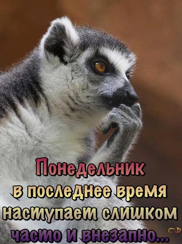Надо подумать