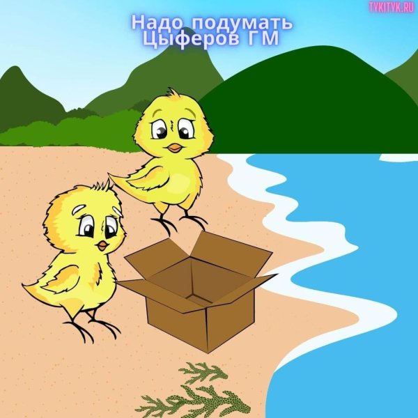 мультяшные цыплята