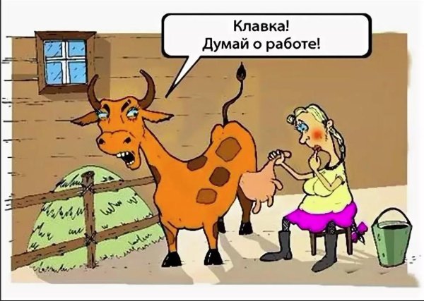 корова карикатура