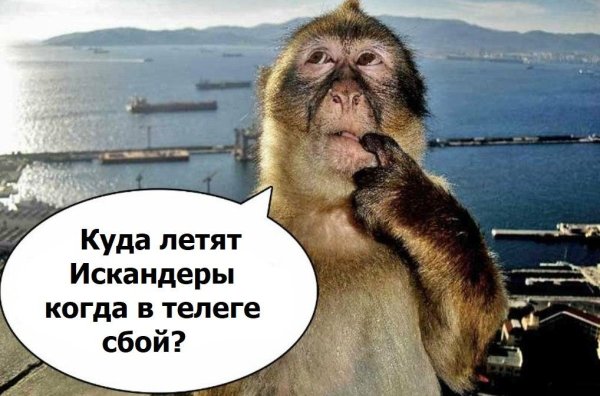 Надо подумать